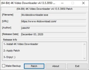 4KVideo downloader patch